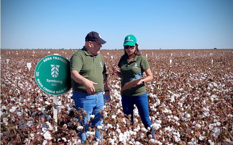 Imagen principal - La IA ya es clave en el control de plagas (arriba)/ Ainhoa Martínez, investigadora del proyecto de Irnasa-CSIC sobre gestión de microbiomas (abajo izquierda)/La murciana Symborg trabaja en un sistema que controla los insectos de las plagas gracias al hongo 'Beauveria bassiana' 203, que los hace desaparecer (abajo derecha)