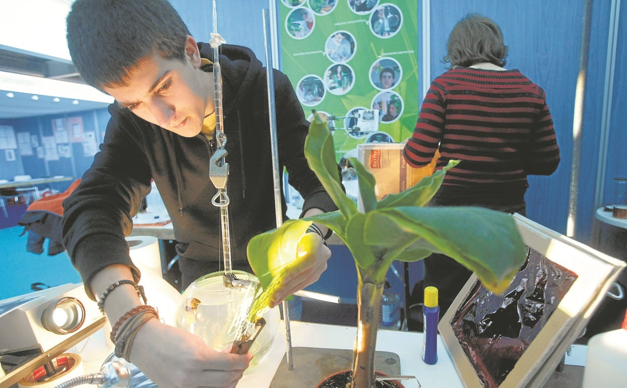 El progreso de la Formación Dual requiere de un esfuerzo por parte de los implicados en el proceso, desde la creación de nuevas plazas de profesores a la formación de tutores en el seno de las empresas