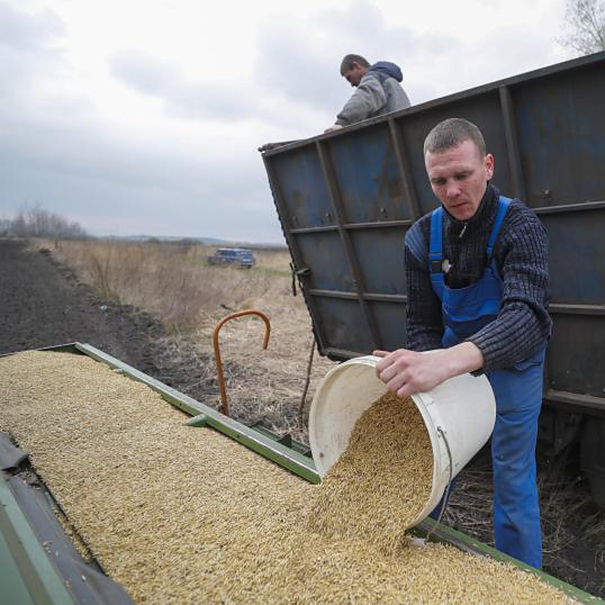 'Chernozem', el otro oro negro con el que Putin podría tener el control de la despensa mundial