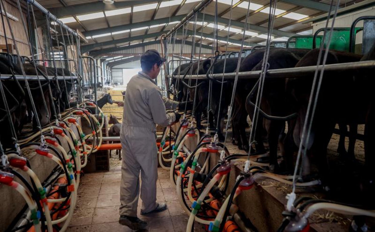 Bonificaciones y doble tarifa eléctrica, las medidas para el campo que 'olvida' el Gobierno