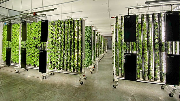 Una de las salas de agricultura vertical de Groots