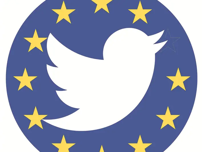 Las dos redes sociales desarrolladas por la UE son EU Voice y EU Vídeo para competir con Twiter y Youtube