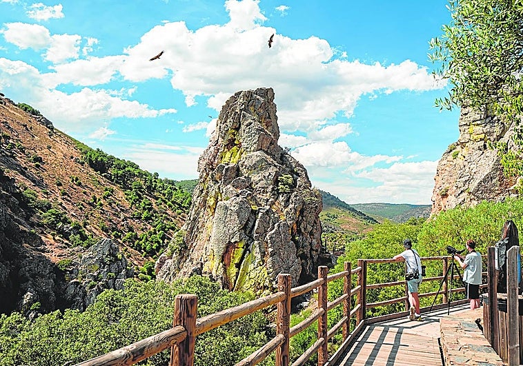 El turismo ornitológico despliega las alas