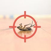 Los nuevos flautistas de Hamelín, así se reinventa el sector del control de plagas