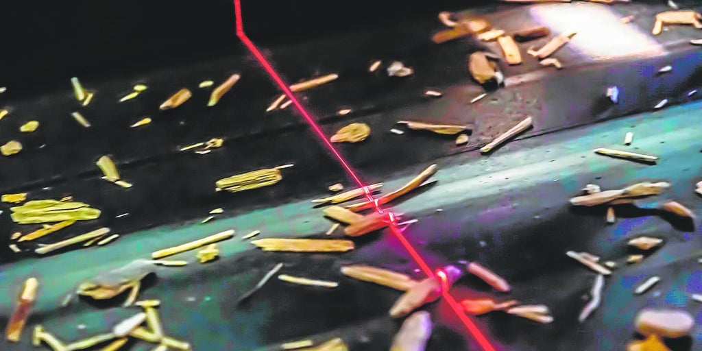 La madera da la talla en el desafío de la economía circular