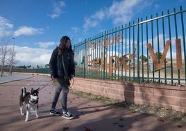 Un nuevo modelo de parque para la ciudad de Madrid