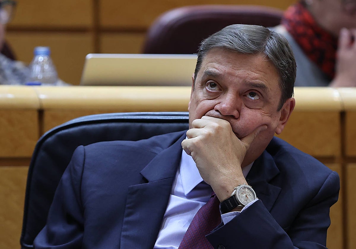 El ministro de Agricultura, Pesca y Alimentación, Luis Plana