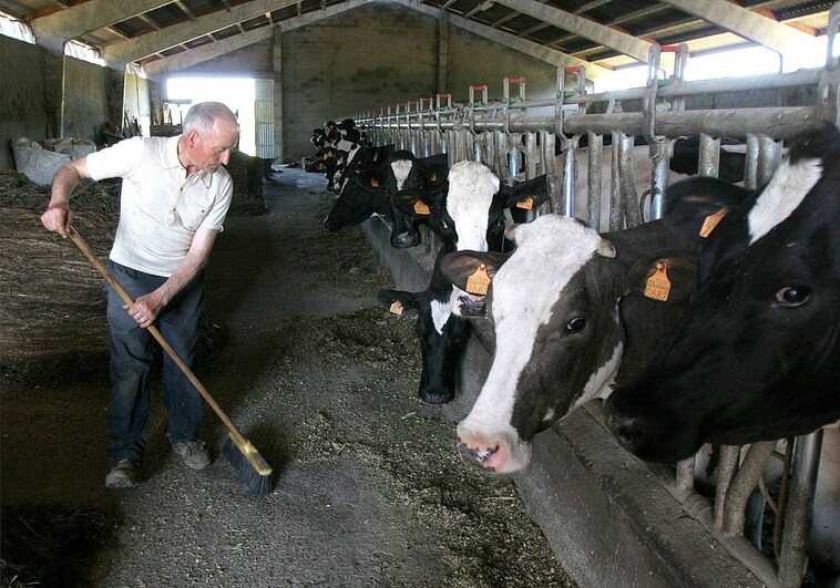 Inquietud entre los ganaderos por la legislación de Bruselas sobre bienestar animal