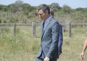 La Sareb y sus 50.000 viviendas: un bulo sanchista como una casa