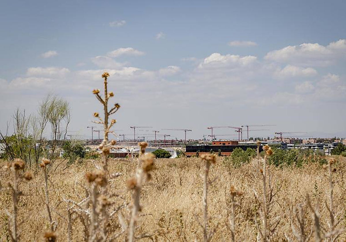 El Gobierno construirá otras 10.500 viviendas en terrenos próximos a donde se realizará la Operación Campamento