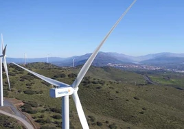 Naturgy compra a Ardian 900 MW renovables en España por 650 millones de euros