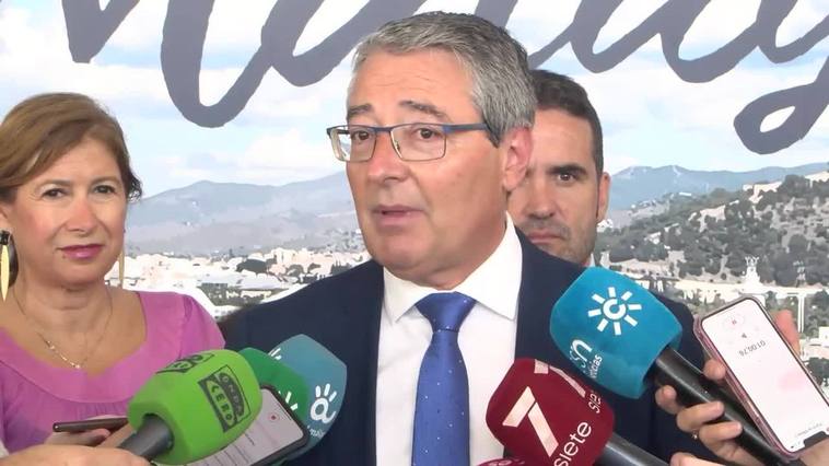 Las previsiones del segmento de cruceros en Costa del Sol apuntan a mejorar cifras prepandemia