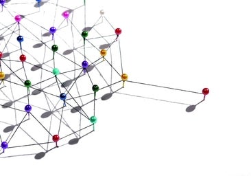 'Networking', la sólida red de apoyo para toda la vida profesional