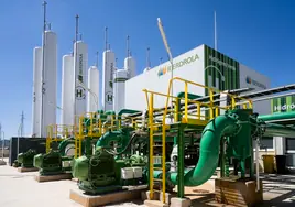 Iberdrola y Trammo invertirán 750 millones en la primera planta industrial de amoniaco verde de Europa