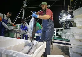 El sector pesquero mira a China  tras caer el consumo en España un 12%