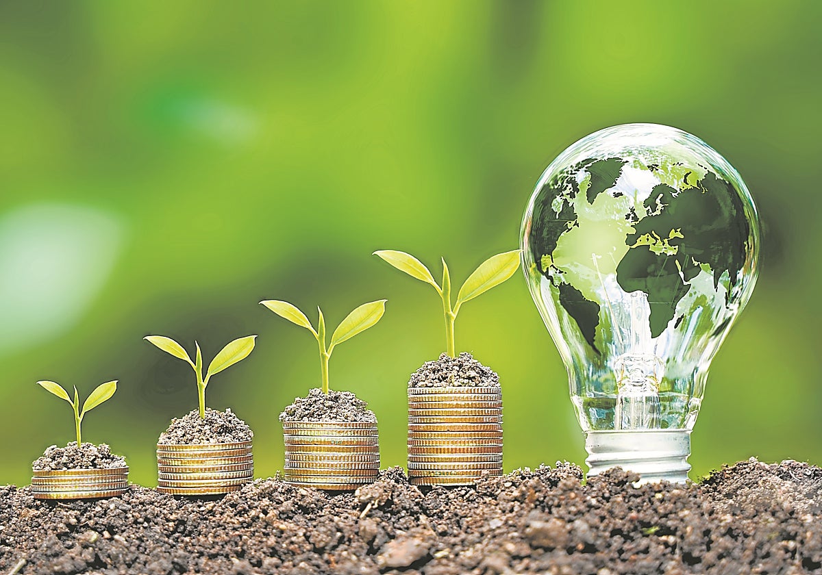 El gran avance de las renovables en nuestro país supone una oportunidad histórica que no hay que desaprovechar