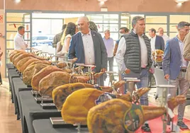 Bruselas reconoce el cerdo de Teruel: «Es un sello de calidad»
