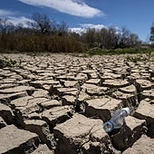 Sequía: la industria alimentaria pide tener acceso preferente al agua