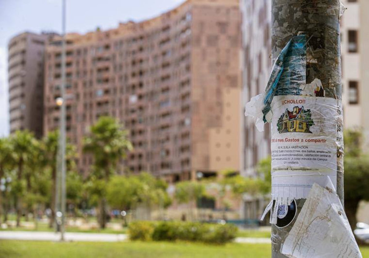 El precio de compartir piso llega ya a los 630 euros de media en Barcelona
