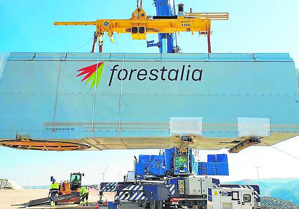 La energía sostenible se traduce en empleo verde y futuro para el medio rural