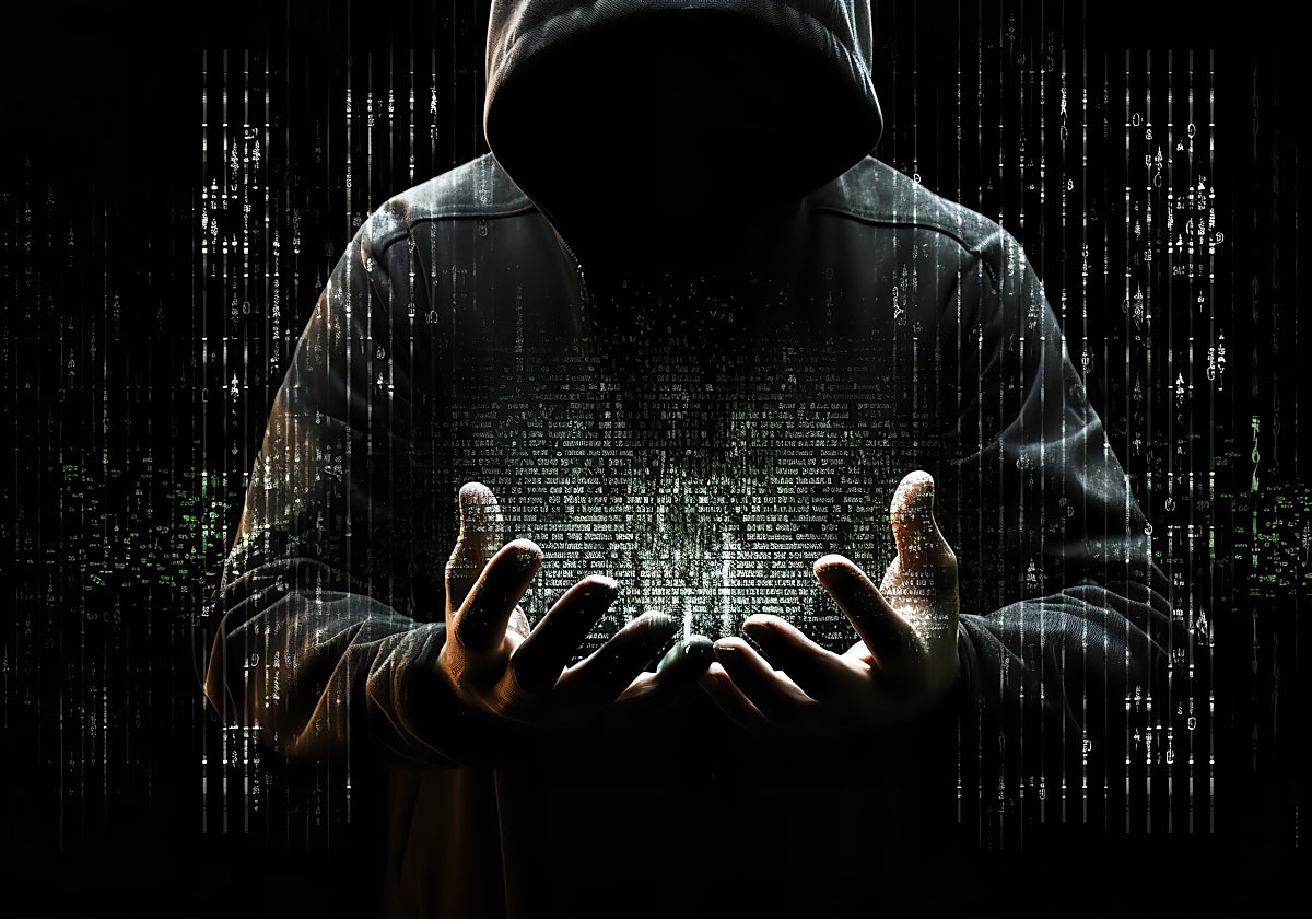 Los piratas cibernéticos apuntan a los flancos débiles del sector público