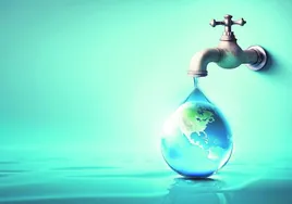 El torrente de innovación que vigila la salud del agua