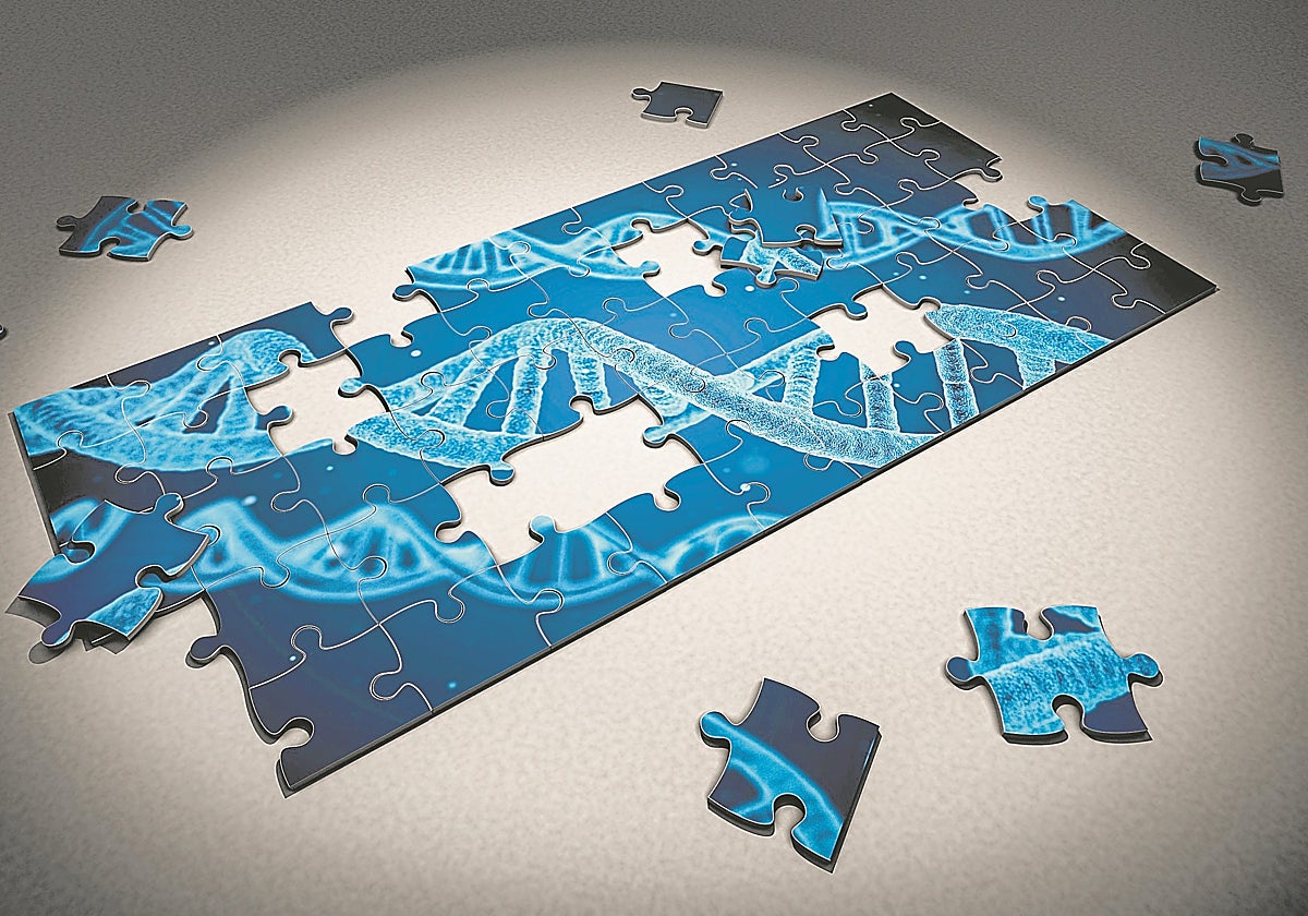 El proyecto Genoma Humano o el mapa del genoma del cáncer auspiciaron el despegue bioninformático