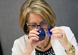 Catas de aceite, un examen pendiente de su propia reválida