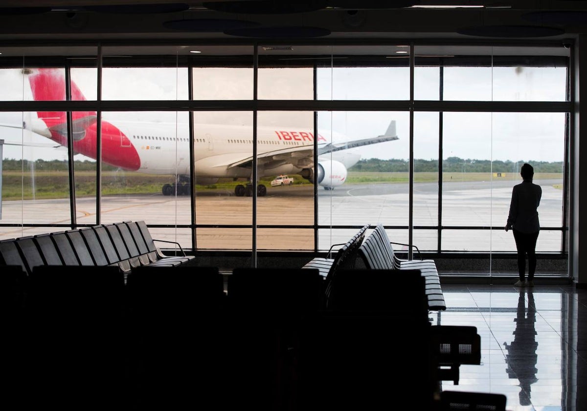 Los ingenieros aeronáuticos creen que la restricción de vuelos nacionales producirá «daños considerables en la industria aérea»