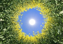 Ecodiseño, o cómo forjar la sostenibilidad desde el minuto cero