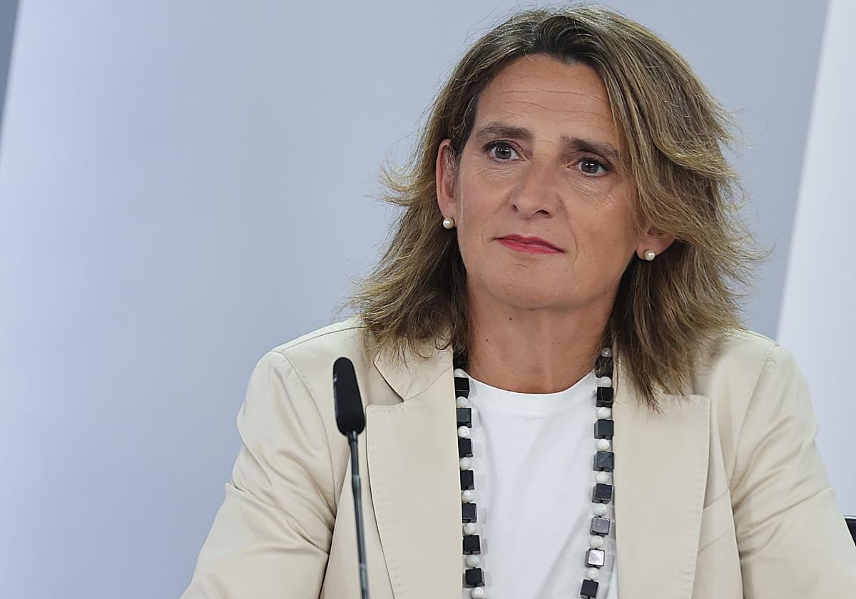 Teresa Ribera, ministra de Transición Ecológica