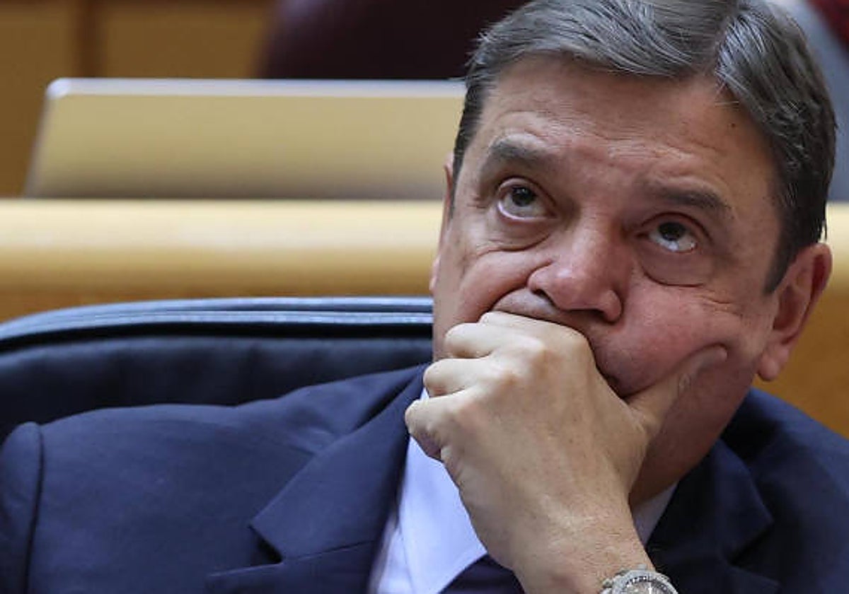 El ministro de Agricultura, Luis Planas, en una imagen de archivo