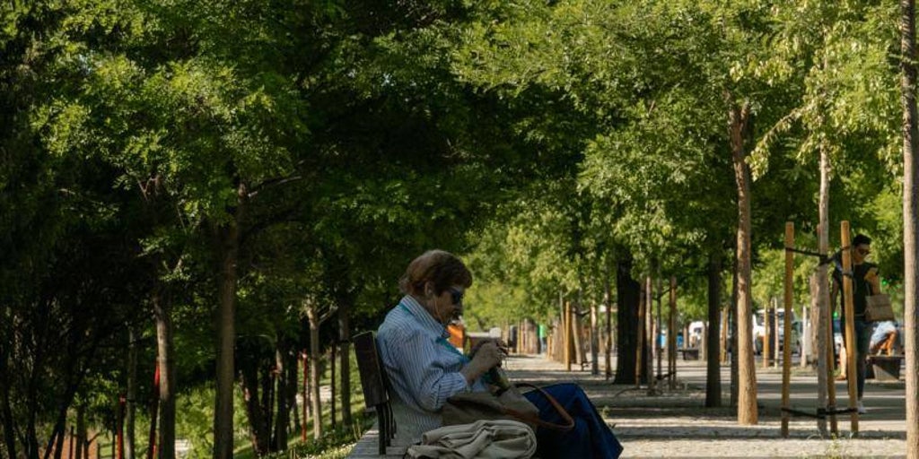 Emeklinin maaşına yüzde 3,8 oranında zam gelecek ancak bakıcısına yüzde 5 oranında ödeme yapılacak