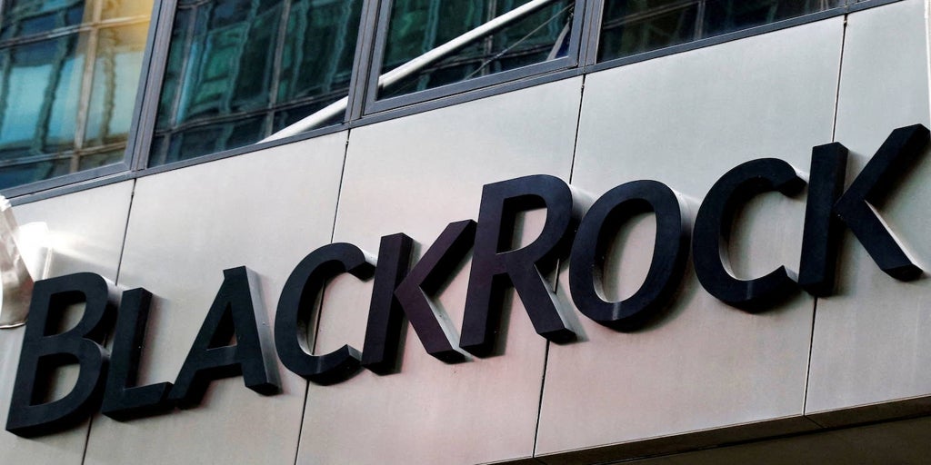 BlackRock, Naturgy'nin %20'sine sahip olan GIP fonunu 11,4 milyar dolara satın alıyor