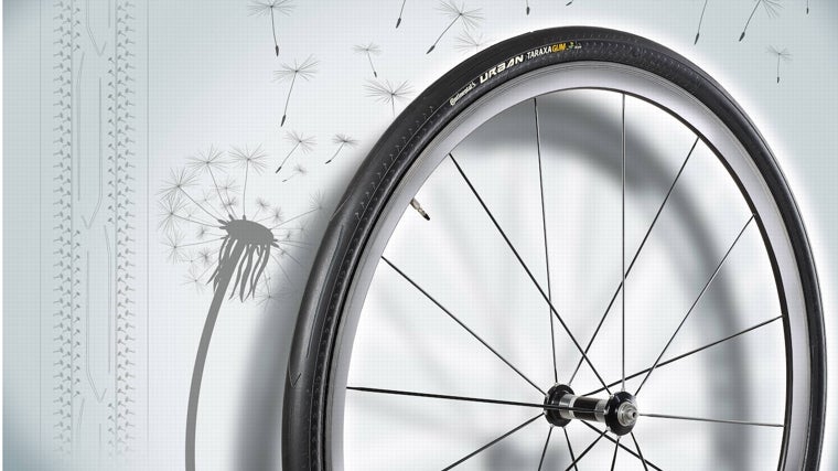Izquierda, el neumático de Continental que ya se comercializa para bicicletas de paseo. Esta hecho con caucho natural obtenido de una variedad del diente de león. La compañía alemana espera que este tipo de caucho también sea homologado para su utilización en neumáticos de coches
