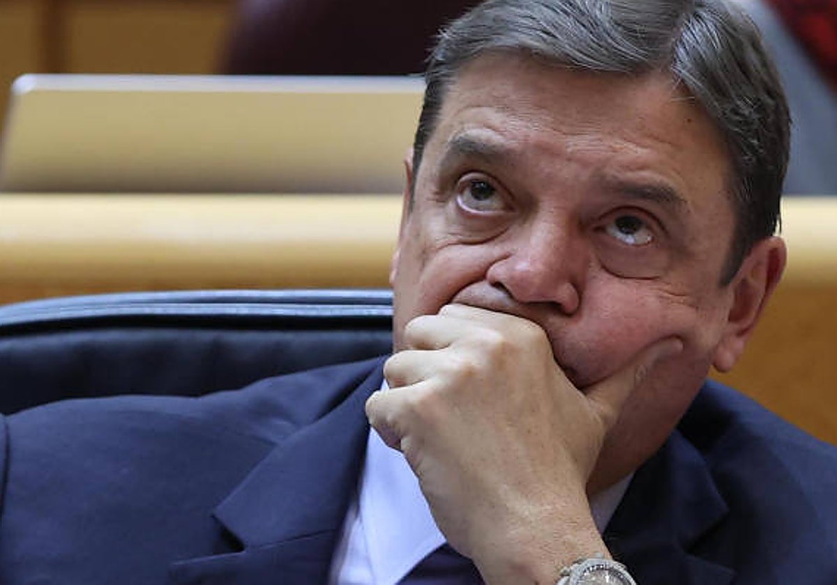 El ministro de Agricultura, Luis Planas