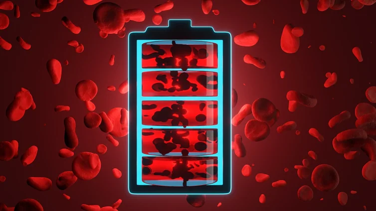 Españoles crean la primera batería que funciona con sangre