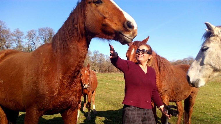 Lola Guzmán, «abuela» de potrillos, tiene un negocio de caballos