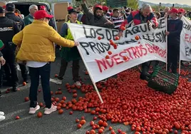 Imponer 'cláusulas espejo' a las importaciones: la reclamación de los agricultores que preocupa en Bruselas