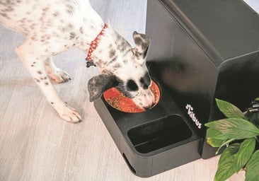 El lucrativo bocado innovador de la alimentación de mascotas