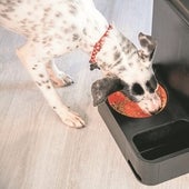 El lucrativo bocado innovador de la alimentación de mascotas