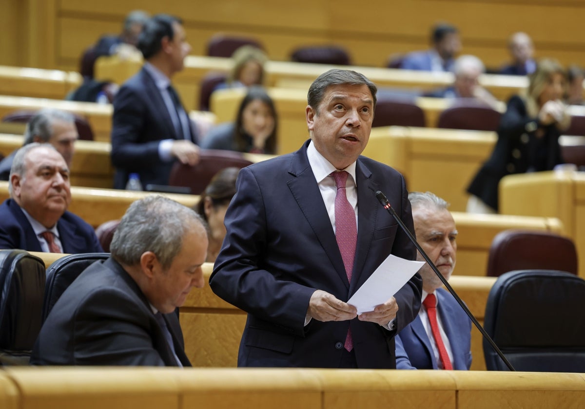 El ministro de Agricultura, Luis Planas