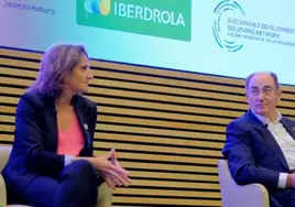 Teresa Ribera coincide con Iberdrola en su «hartazgo» por el 'lavado verde' de algunas compañías