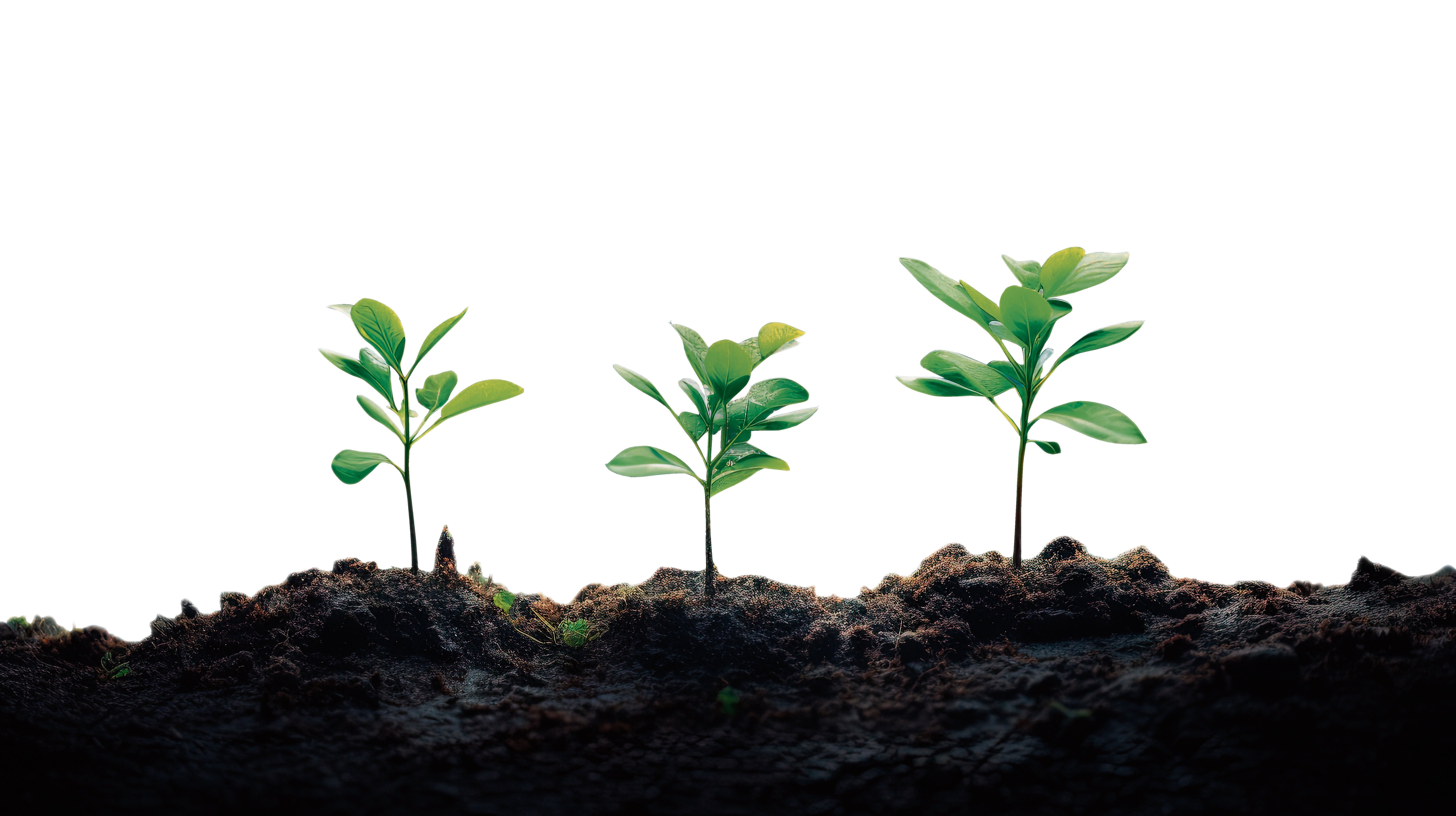 Las gotas de innovación que plantan cara a la sequía en el campo español