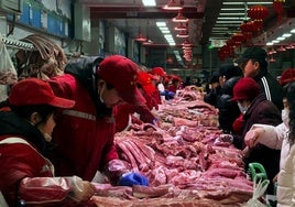 Intestinos, tráqueas, penes... el éxito de la casquería de cerdo español en China