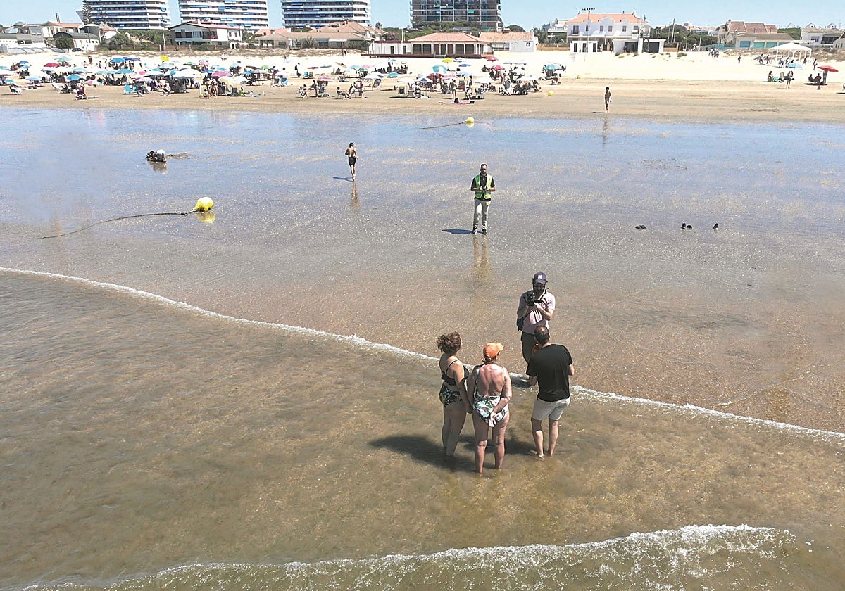 El twist de la coquina