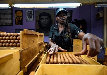 Los habanos, un producto de lujo tras la entrada de los chinos en el negocio