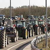 El nuevo informe sobre el futuro de la PAC propone dirigir las ayudas solo a los que las necesiten