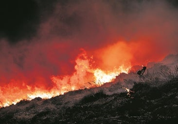 La IA lidera el escuadrón innovador que combate los incendios desde la raíz