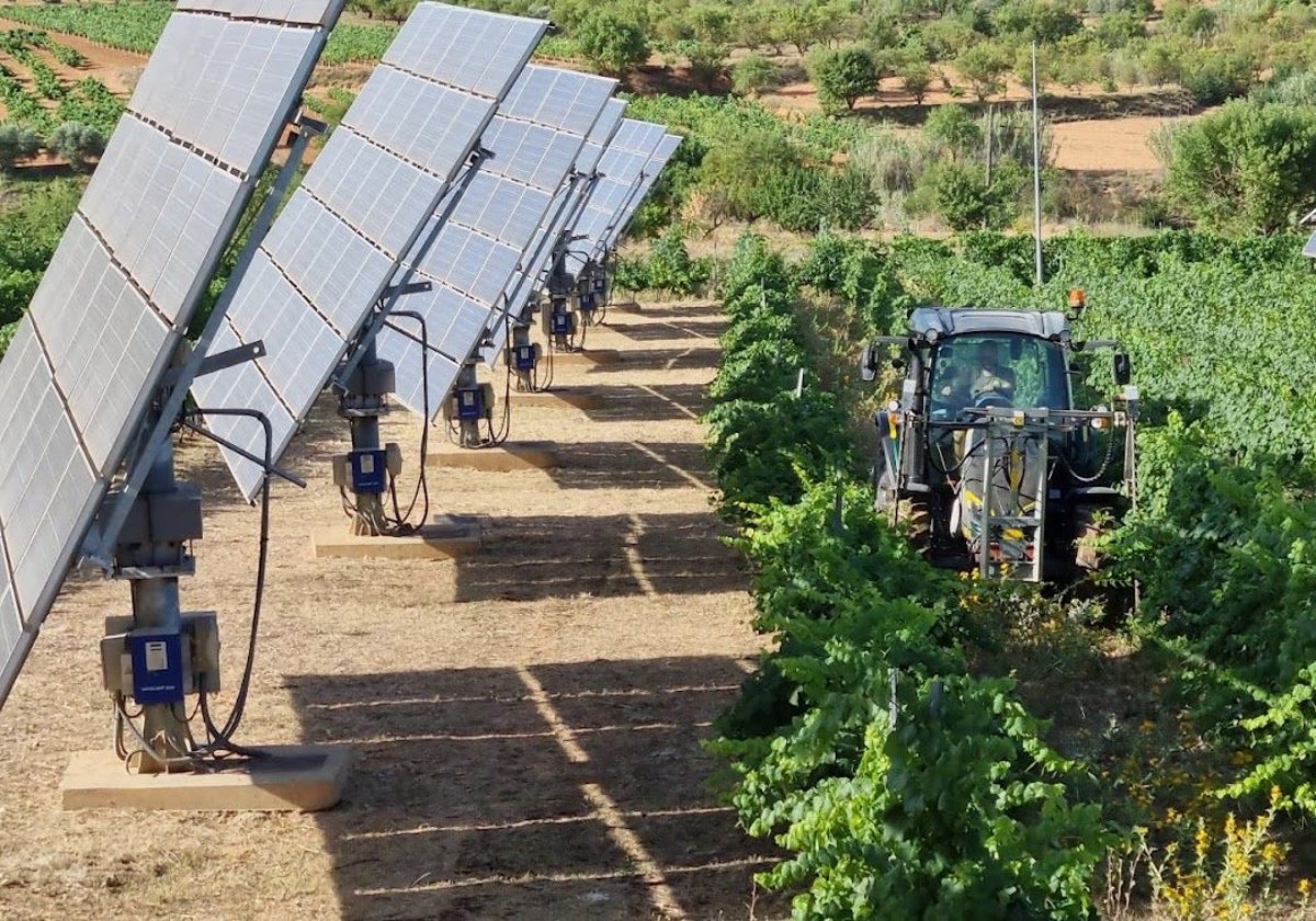 El precio de la mentira: las &#039;fake news&#039; sobre energía solar amenazan el futuro de España